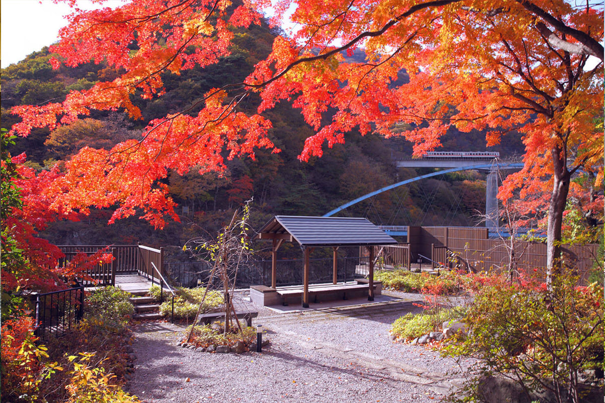 四季の森・足湯（秋）