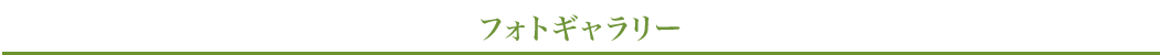 フォトギャラリー