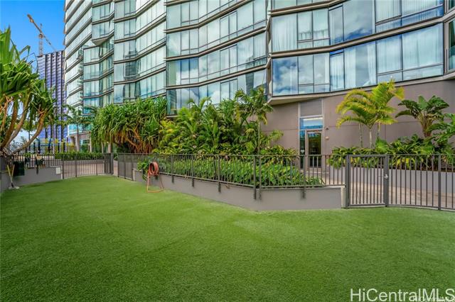 lawn