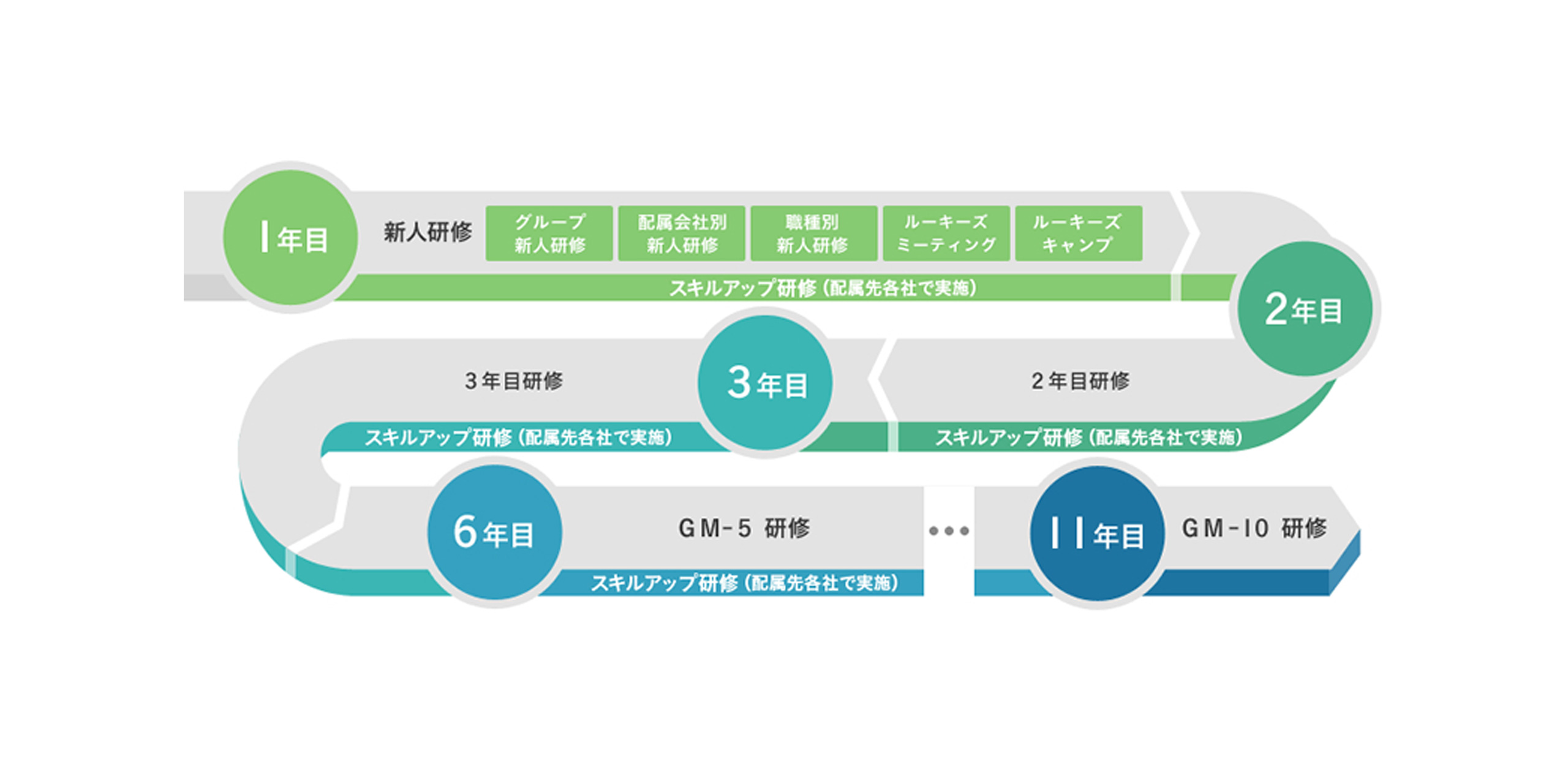 ⼊社年次別研修