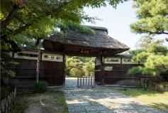 山崎川