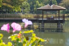 隼人池公園