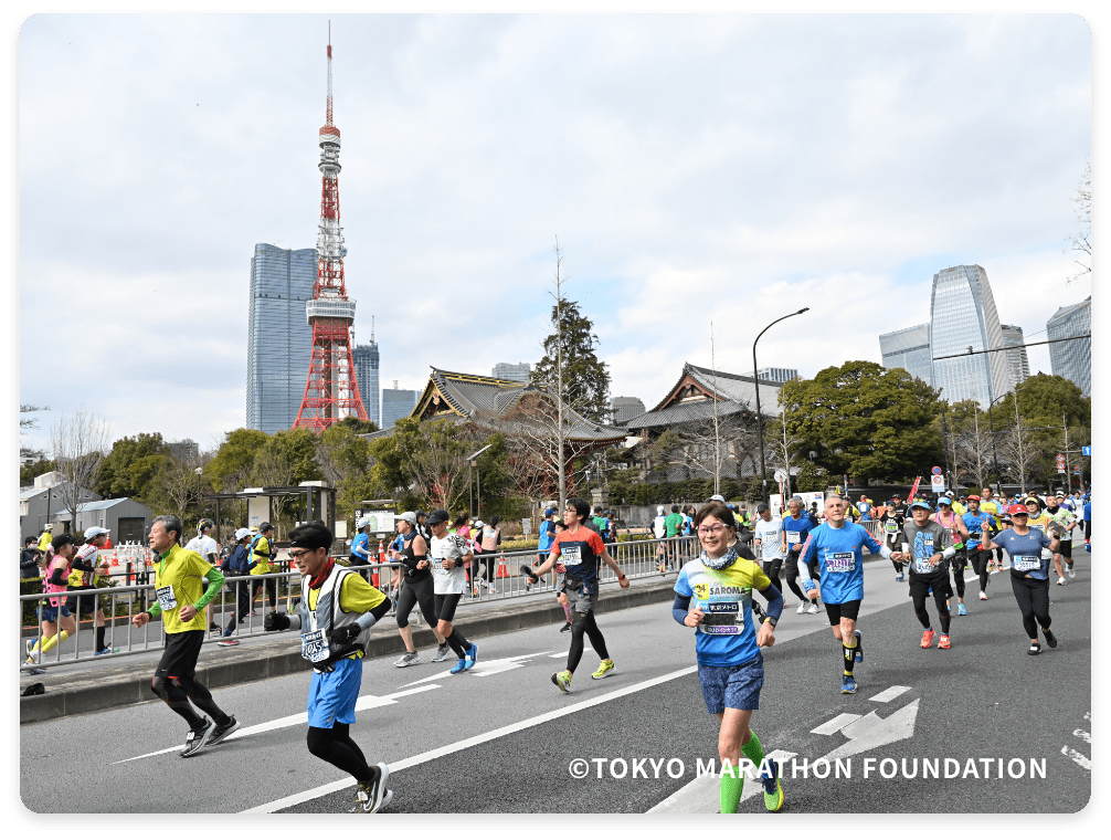 35kmエリア(芝ブロック)